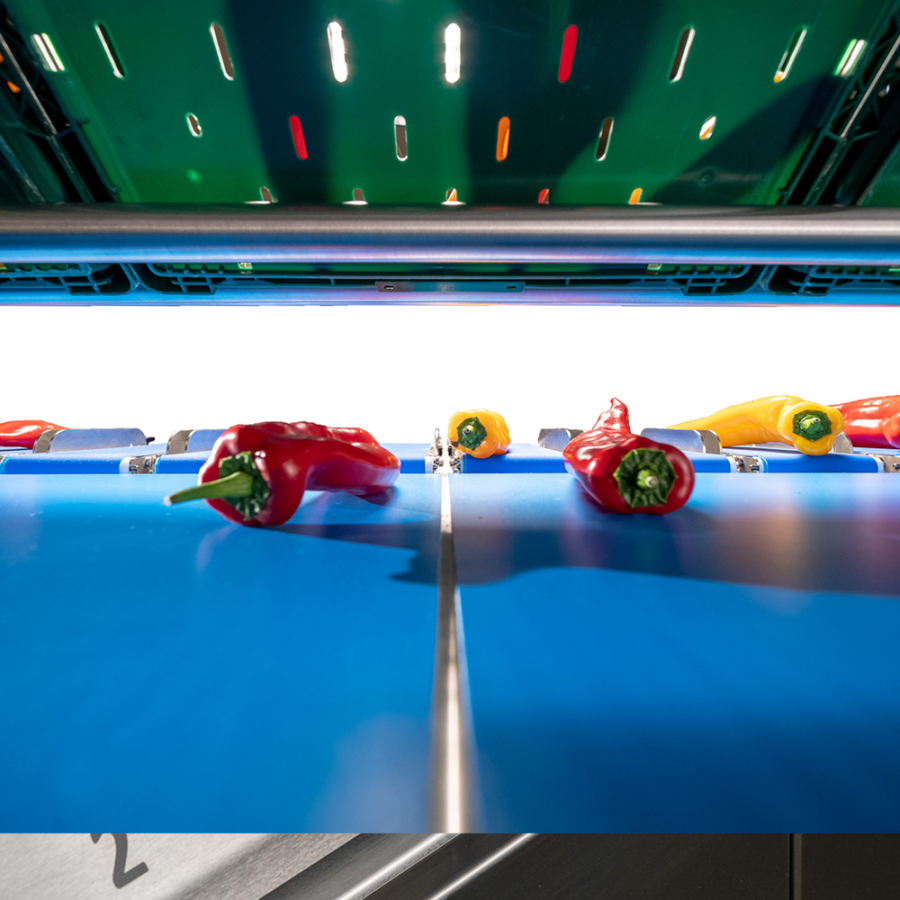 Multihead processing system MHP 1200 – TopControl