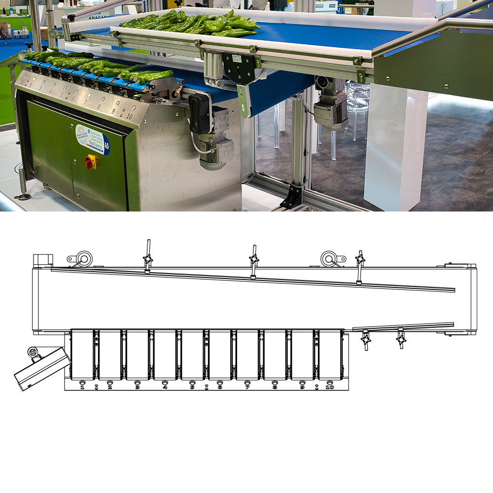 Feed conveyor