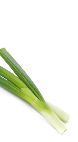 leek