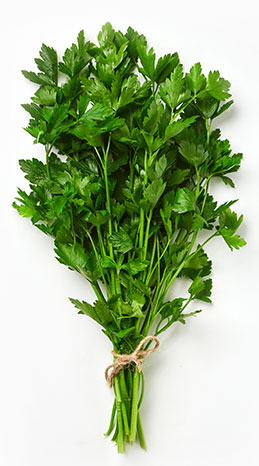 parsley