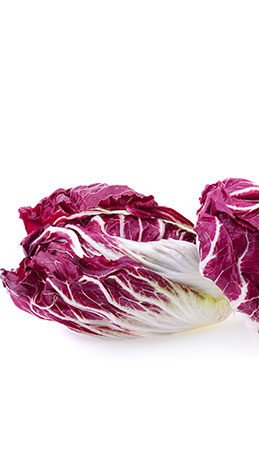 radicchio