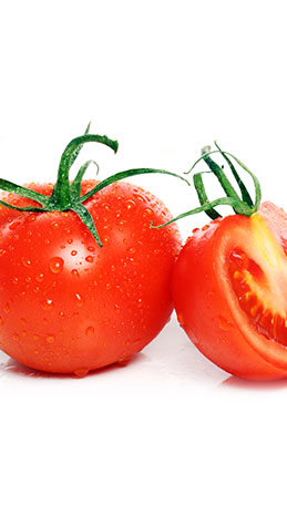 tomatoes