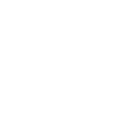 icon success