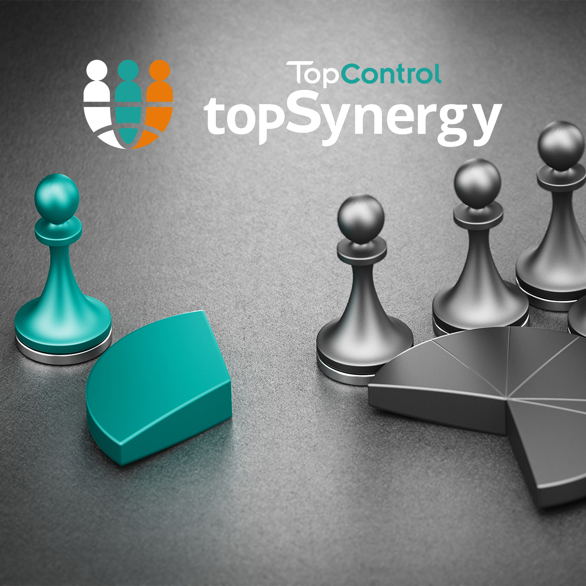 Unsere Partner – TopControl