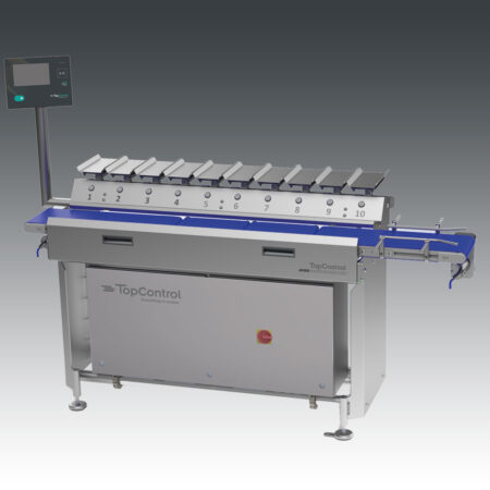 Multihead processing system - MHP 2000